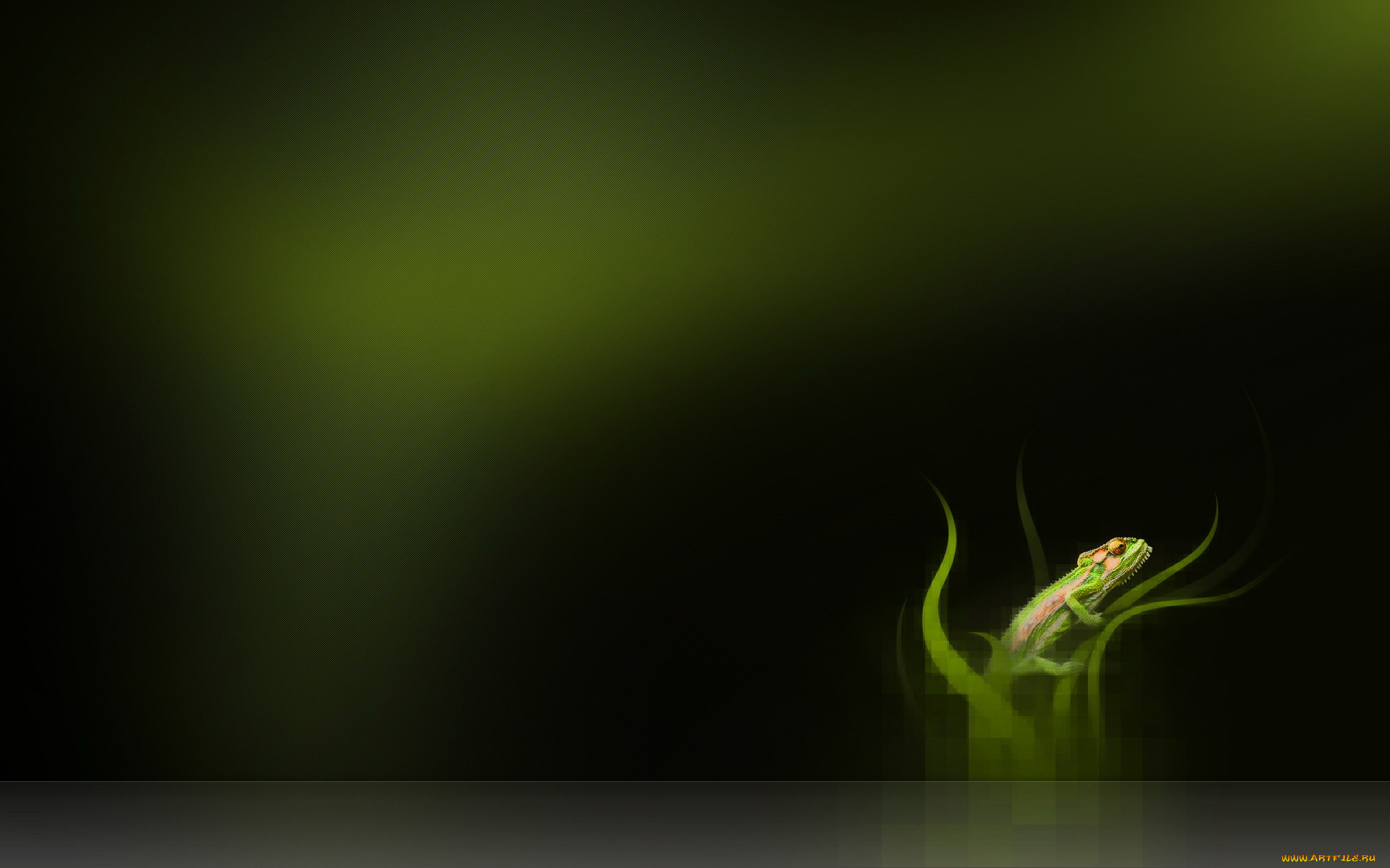 3, , animals, , , 